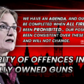 Majority of Offences Involve Illegally Owned Guns